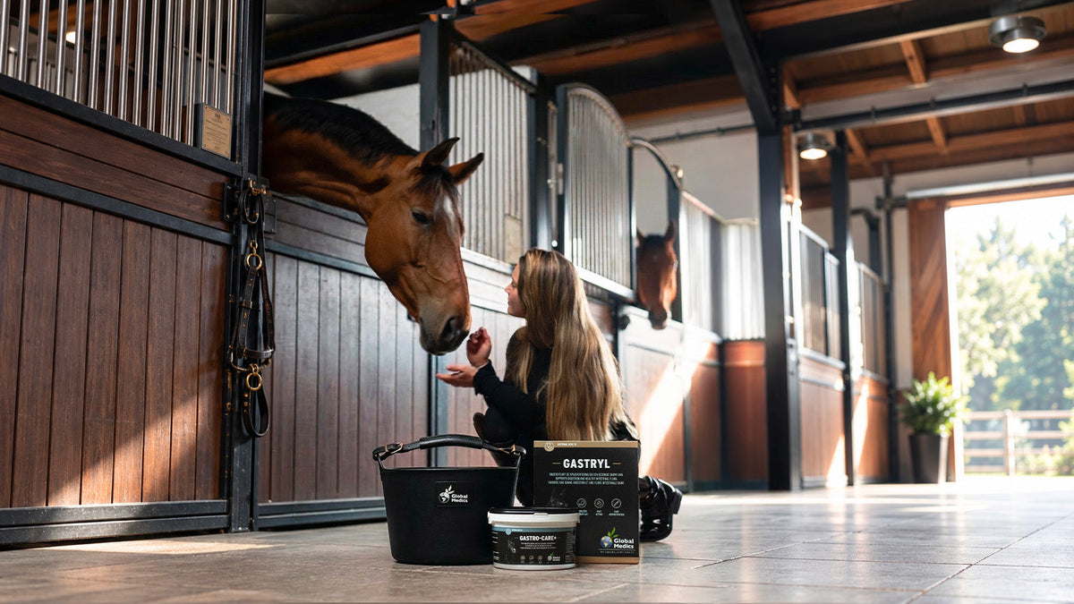 Hoe kan je de spijsvertering van je paard ondersteunen?