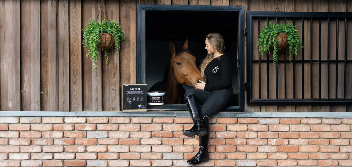 Maagzweren bij paarden