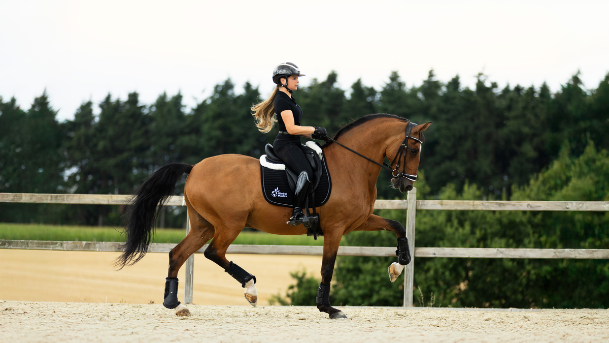 Nutritionele ondersteuning voor de gewrichten bij paarden