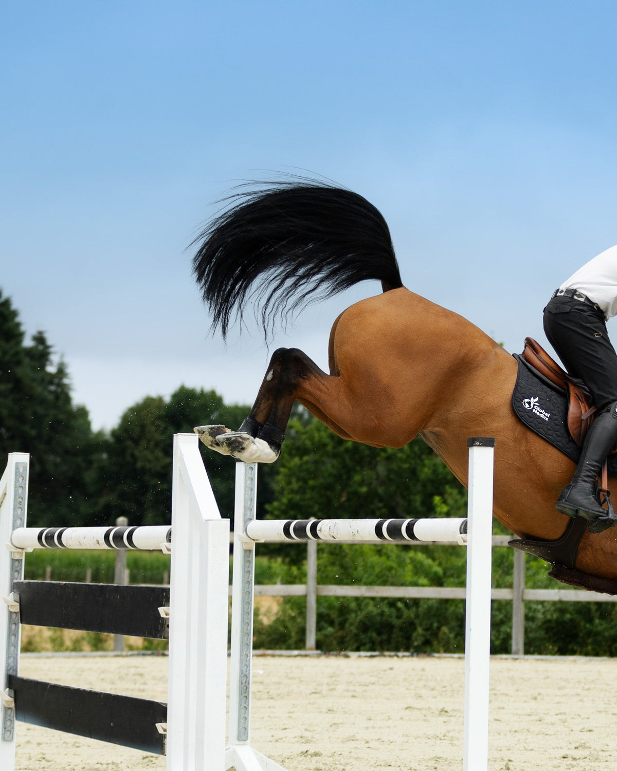 OCD in sportpaarden: het einde van hun carrière?