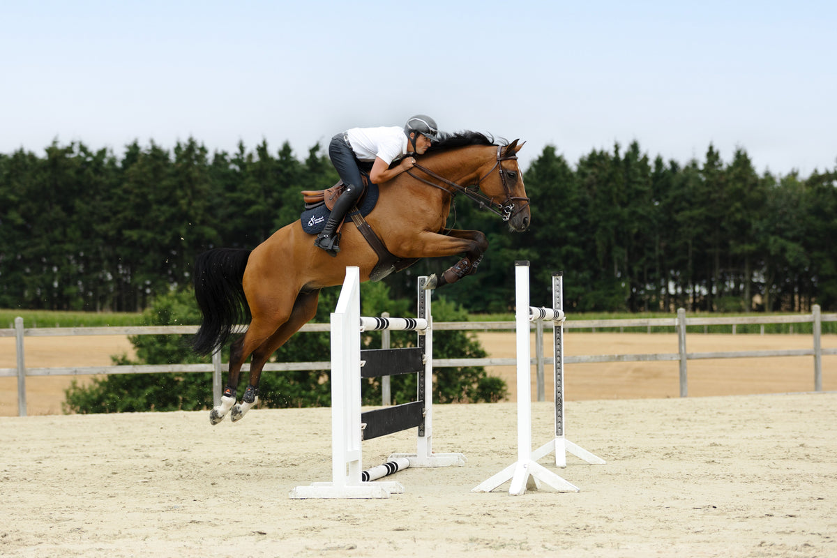 Supplementen voor paarden