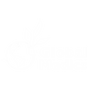 Global Medics
