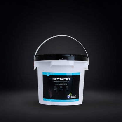 ELECTROLYTES POWDER