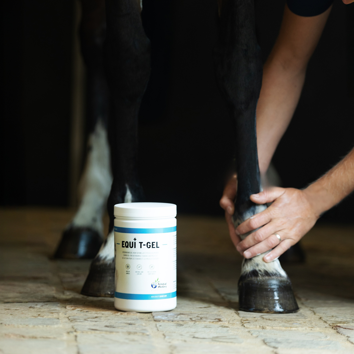 EQUI T-GEL