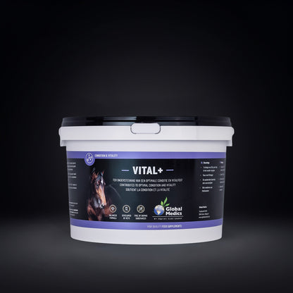 VITAL+