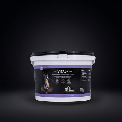 VITAL+